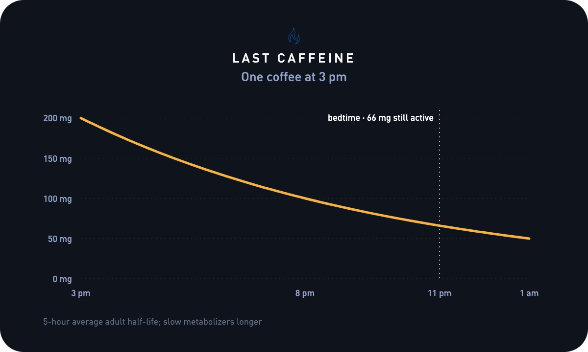 Typical Caffeine timing ranges