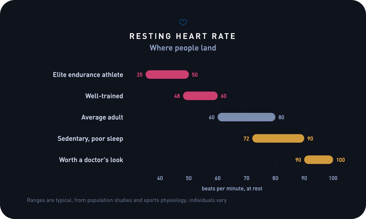 Typical Resting heart rate ranges