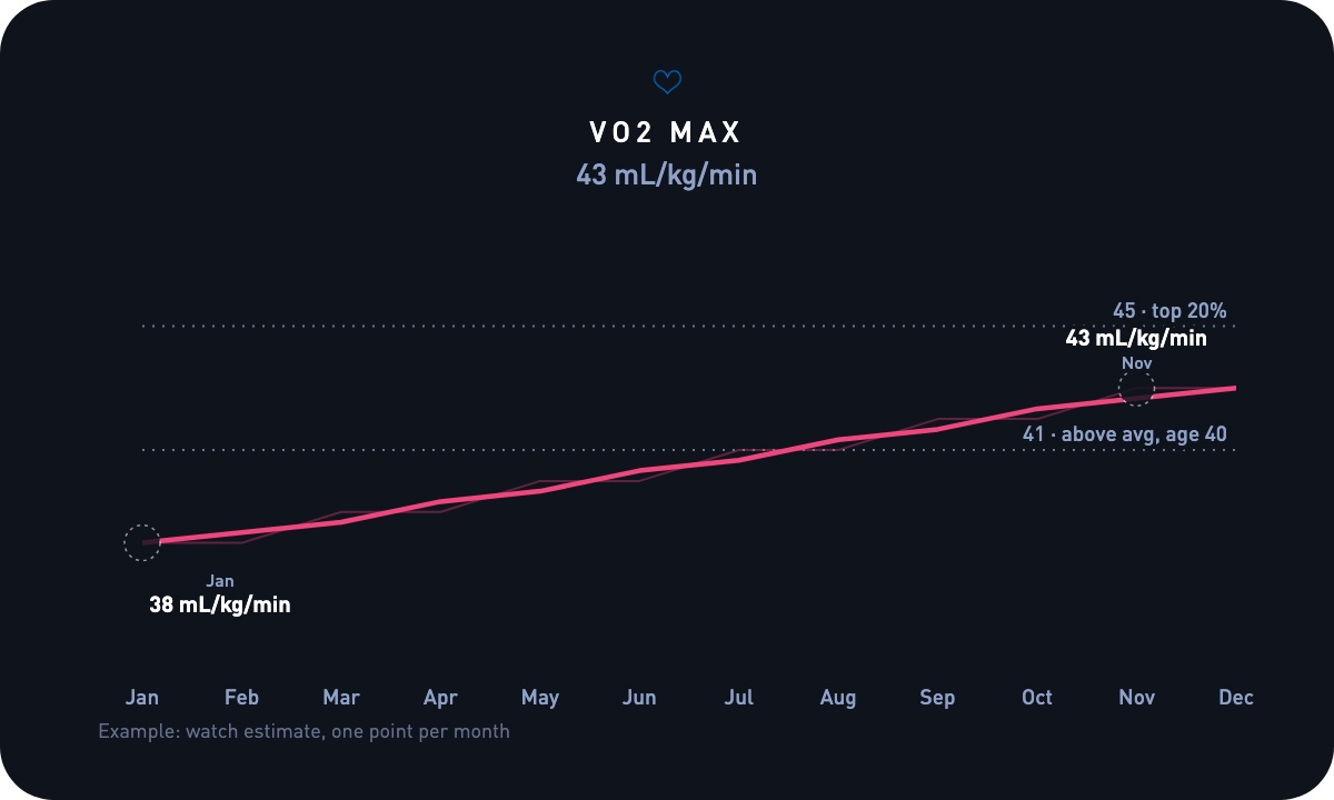 Twelve monthly VO2 max estimates stepping from 38 to 43 with age reference lines